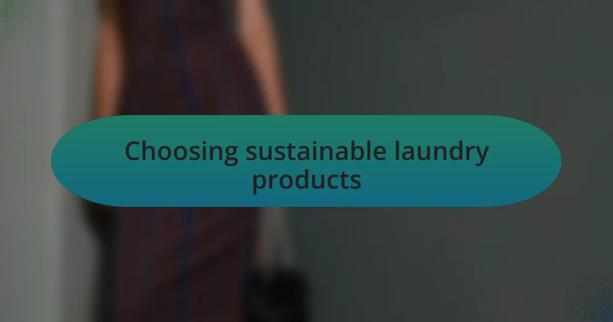 Choosing sustainable laundry products