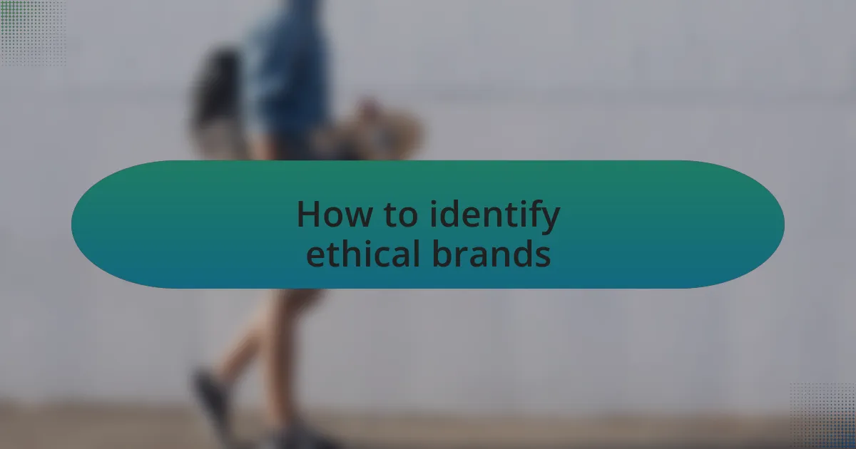 How to identify ethical brands