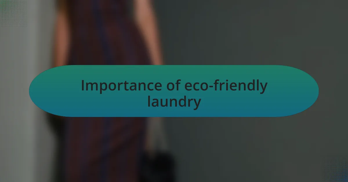 Importance of eco-friendly laundry