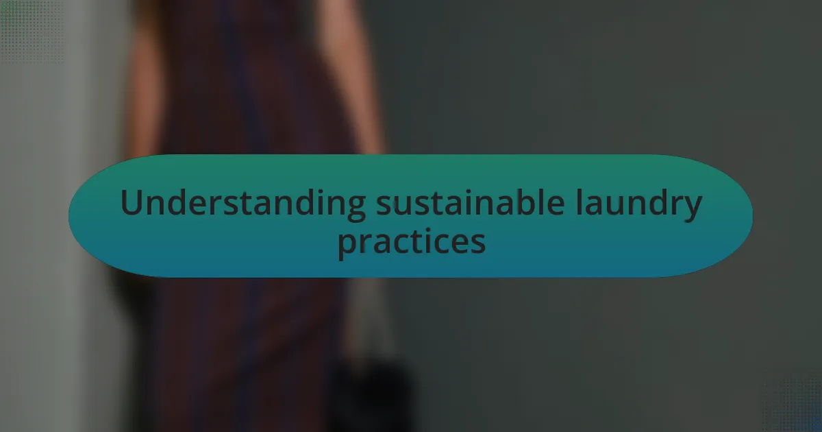 Understanding sustainable laundry practices